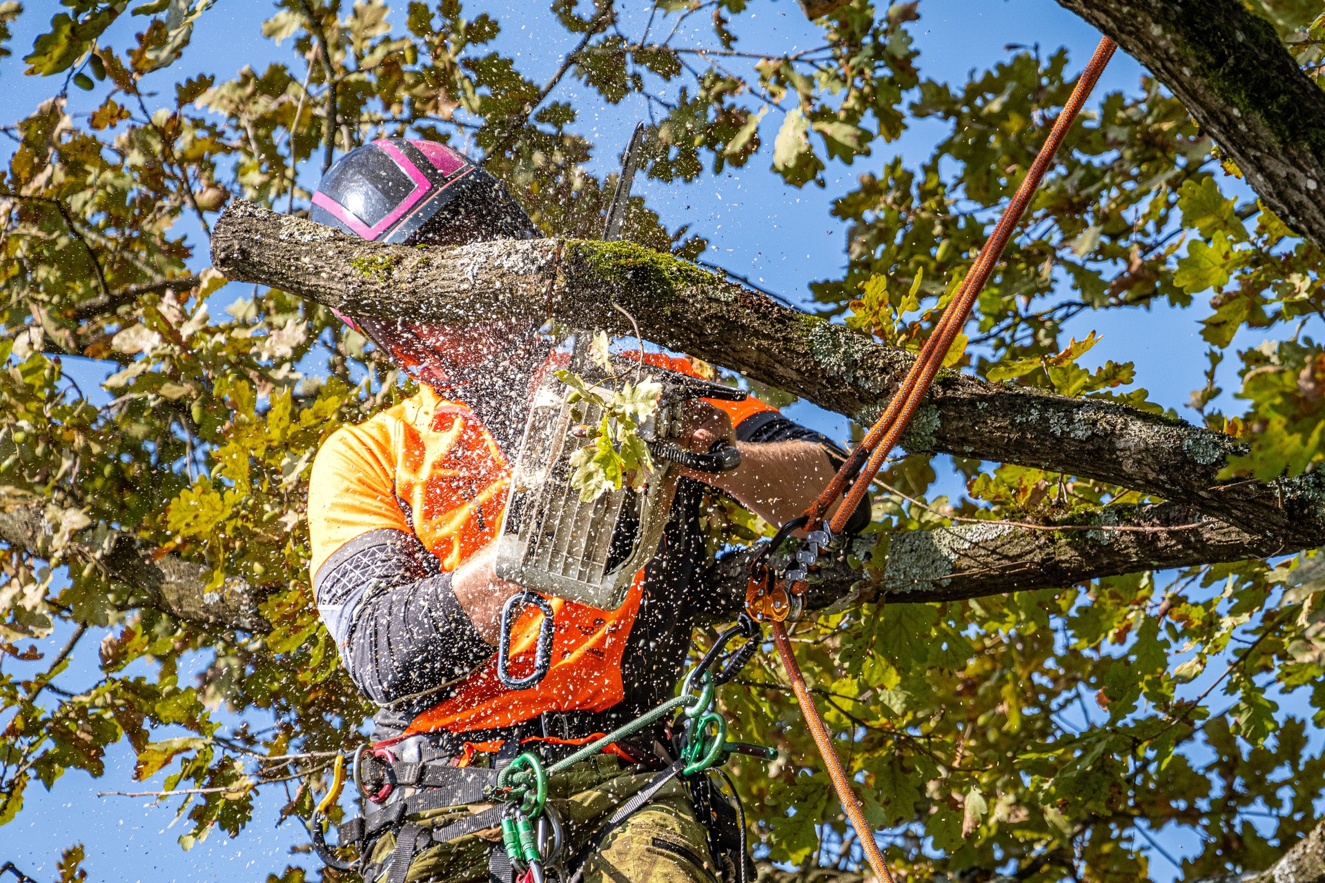 Professional Logger in Action with Chainsaw and Safety Gear